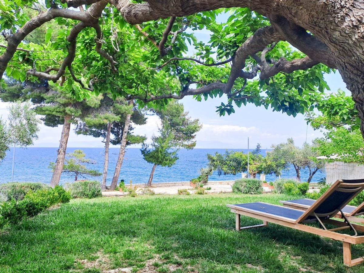 Nama Beach House Arkadiko Chorio Kültér fotó