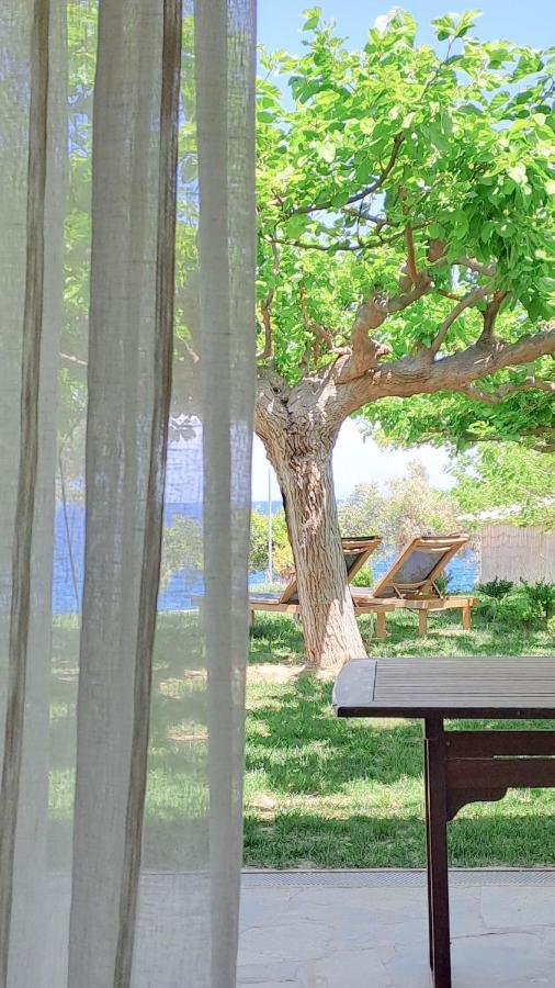 Nama Beach House Arkadiko Chorio Kültér fotó