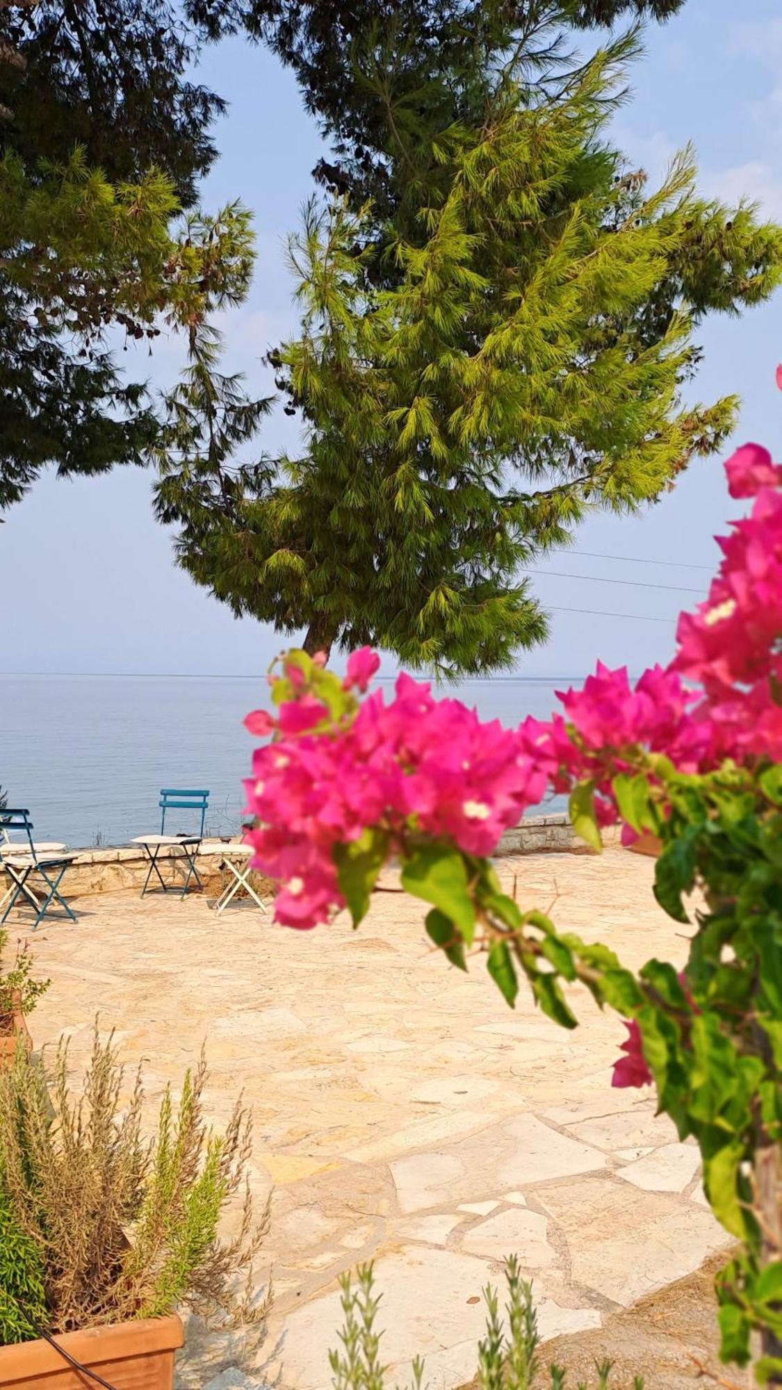 Nama Beach House Arkadiko Chorio Kültér fotó