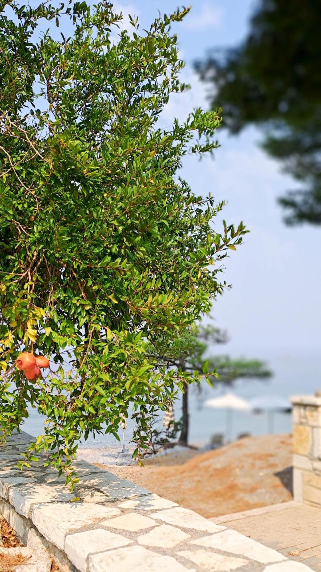Nama Beach House Arkadiko Chorio Kültér fotó